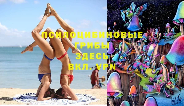 СК Абаза