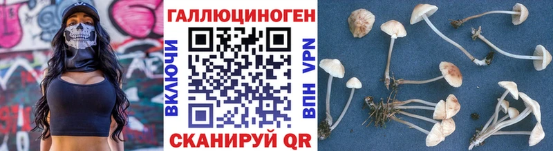 Галлюциногенные грибы Magic Shrooms  Черепаново 
